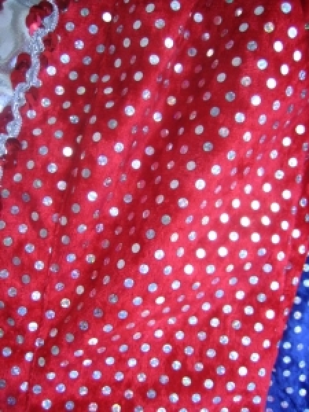 5 Pannesamt Holopailletten Rest 1,50 Meter rot